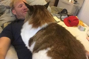 体長120センチ、13キロのNYの街で最もデカい猫、その名もサムソン