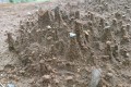 集中豪雨で畑に現れた“土の塔”、世界遺産”カッパドキア”の奇形地形を一晩で再現されていた!