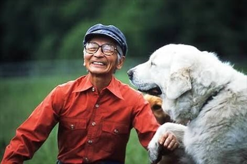 default_3d214acd2e5eef32d0ac42ebc34bc73f_R