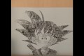 これはスゴい!孫悟空のイラストをよーく見てみるとドラゴンボールの名場面 が隠されていた!