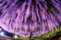 絶句…魚眼レンズで撮影した風景の写真の美しさに涙がこみ上げる
