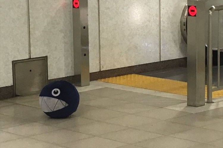 きみ、なんでエスカレーターの前にいるの?意外なところにいる二度見必須なものたち【9選】