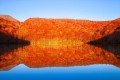 自然が創り出したアート！十和田湖の水面に映る"蔦沼"の紅葉が最高に美しい