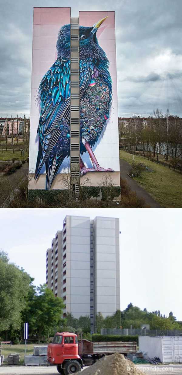 before-after-street-art-boring-wall-transformation-2-580df352b1353__700r