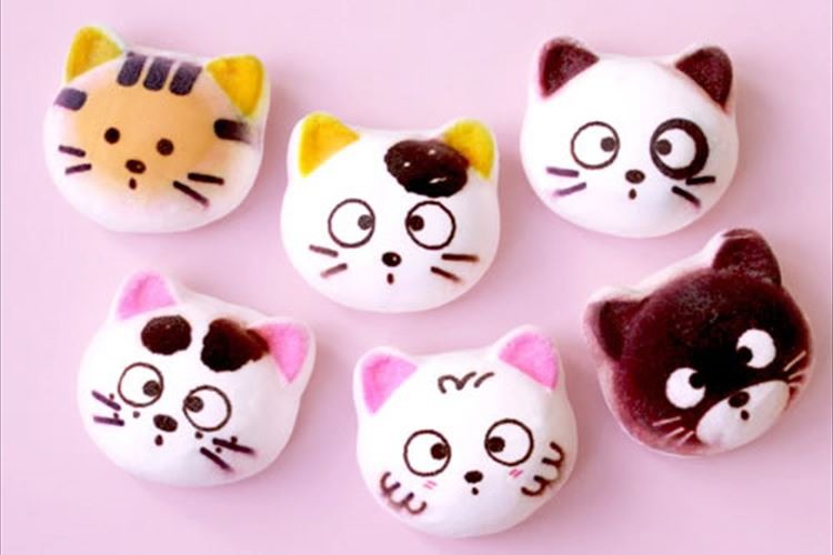 な、懐かしい…あの『うちのタマ知りませんか』が、マシュマロならぬニャシュマロに…!?