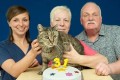世界最高齢の猫 ナツメグさんが31歳になる! 家族の愛に包まれ、まだまだ元気いっぱい!
