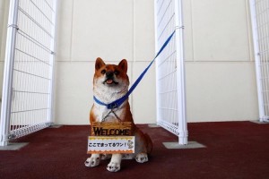 犬を繋ぐことができるスペースをスーパーに設置! 「駐犬場」に賛否両論