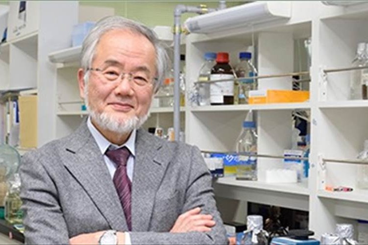 【ノーベル賞】医学生理学賞に大隅良典・東工大栄誉教授が受賞!