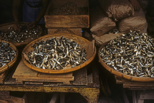 Baskets of dried fish, Okinawa