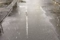 あれ、一箇所だけ空間の時間が止まってる!?と思ったら、"クモの糸"だった!