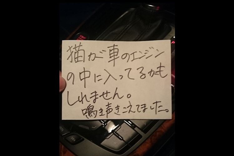 全ては一枚の匿名のメモから始まった…猫を救出するまでのストーリーが話題に!