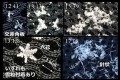 「雪の研究のために重要です!」雲研究者の荒木健太郎がスマホで撮る『雪の結晶』の送付を呼びかけ