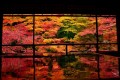絶景が反射する“床もみじ”が言葉にできない美しさ 京都・紅葉名所「瑠璃光院」