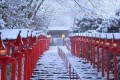 【動画】貴船神社に雪が降りそそぐ景色が神秘的! 積雪日限定ライトアップも必見