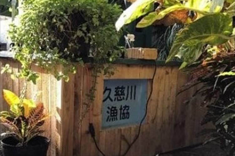 津波で流失した水槽がハワイで見つかるも、漁協は「今の持ち主に使ってほしい」