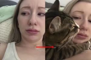 【動画】飼い主に対して強引気味に“顎クイ”をするニャンコが男前だにゃ～♪