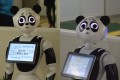 なんでそんなに困り顔なの?上野駅にいる「パンダPepper」が悲壮感漂いすぎてじわる