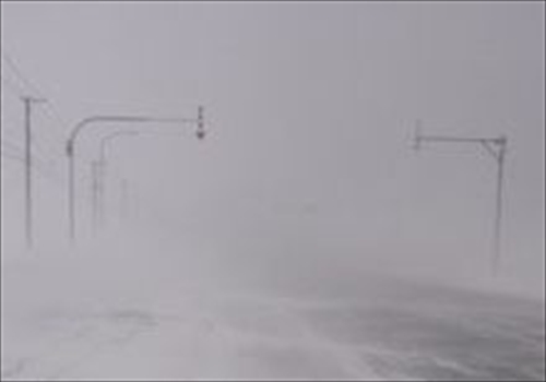 yabanesiteisyougai_R