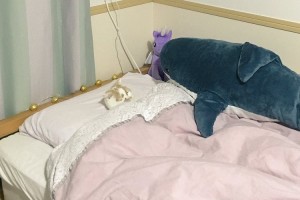 まるで人間みたい！ベッドの上で仰向けで寝るニャンコの姿に癒される人、続出！