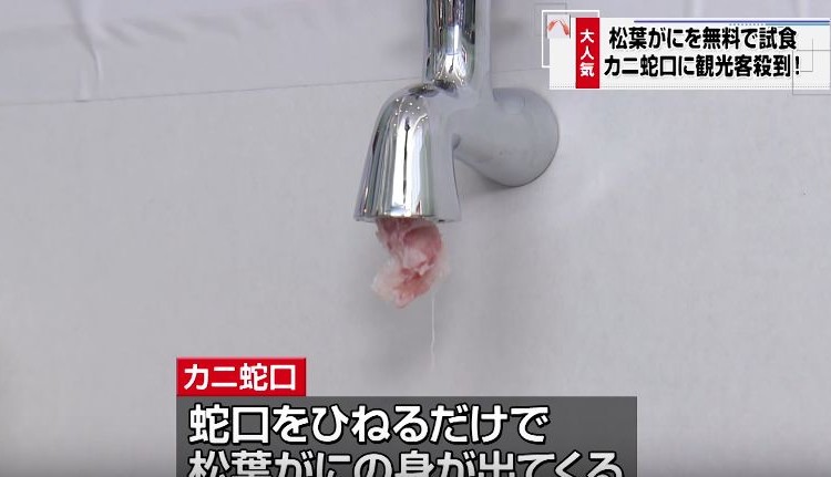 蛇口をひねると松葉がにが「カニ蛇口」に観光客殺到!?
