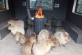 「あったか~」 ストーブの前で暖をとるモフモフのカピバラたちが可愛らしい♪