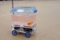 【動画】金魚も楽しそう!? 魚の動きを読み取って移動するロボットが話題に!