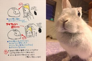 「自分流うさぎのかわいい撮り方」みんな試してみたら、どれも最高に可愛かった！