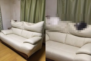 ソファーの背もたれに大きな凹みが2ヵ所も…！その原因が"可愛すぎる"と話題に！