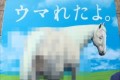 「ウマれたよ。」小倉競馬場の顔ハメ看板がぶっ飛んでる