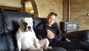 怠惰な格好のブルドッグさん「もっとワシャワシャして。」とお腹をナデナデを要求