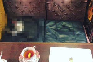 「相席でも良いですか…？」喫茶店で案内された席の相手が最高すぎると話題に！