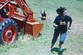 「今日、ニワトリに追いかけられたの」母に言われて防犯カメラを確認してみたら…マジだった!