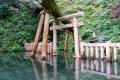ここで心を清めてみたい!鹿島神宮の「御手洗池」が神秘的で美しい