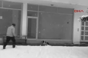 雪の日 寒さでふるえる子犬に自分の上着をかけて立ち去っていった男性が話題に!