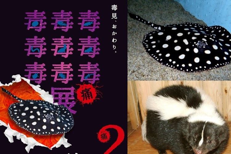 何だこれ!? 五感を刺激するイベント「毒毒毒毒毒毒毒毒毒展・痛(もうどく展2)」が気になるぞ!