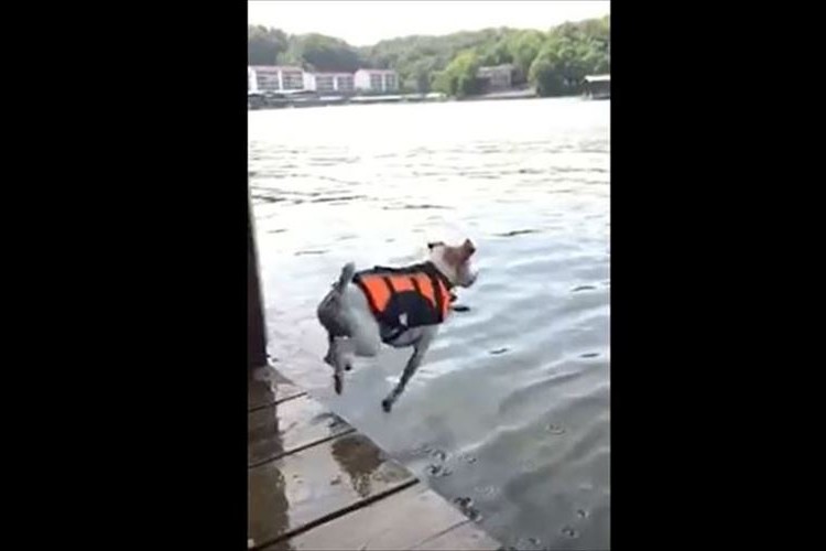 ボールを追って飛び出すも目の前には想定外の海!? ドタバタのダイブが話題に!