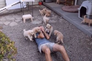 ウゥホホホホーイッ! こんな襲撃なら大歓迎♪ ゴールデンレトリバーの子犬たちに襲われる男性