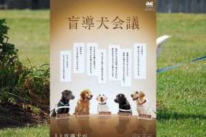 盲導犬ユーザーの事を多くの人に知ってもらいたい…盲導犬目線の広告に多くの反響