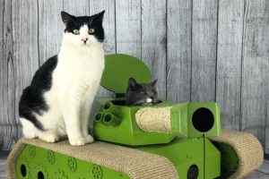 何このインパクト!? ちゃっかり乗ってるし! 戦車をモチーフとした猫の爪とぎが話題に!