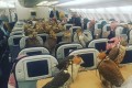 80羽の鷹のために飛行機のチケットを購入したサウジアラビアの王子、そのありえない光景に驚愕!