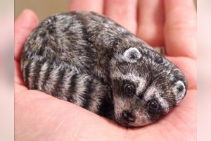 見つけるのに数ヵ月かかることも…動物たちを描いた「ストーンアート」に魂を感じる