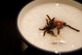 水だけでお粥が作れる!?特殊粉砕した米粉が災害時にも役立つ
