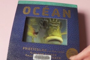 絵本の中で動物たちが生きているみたい！ページを開くと動き出す「しかけ絵本」がスゴイ！