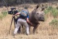 【動画】サイが甘えてる!? カメラマンが体をなでるとなんだか心地良さそうだぞ