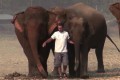 「本当にゾウと友達なんだな」男性とゾウたちのたわむれる光景に厚い信頼関係を感じる