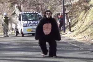 "地震でチンパンジーが脱走！？"多摩動物公園の避難訓練が本格的だと話題に！