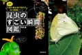 小さな世界でも日々いろんな事が起きている!! “昆虫たちの決定的瞬間ばかり集めた図鑑”が面白い!