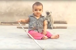 遊びたいのに遊べない。サルのちょっとお茶目で大人な行動に胸キュン♪