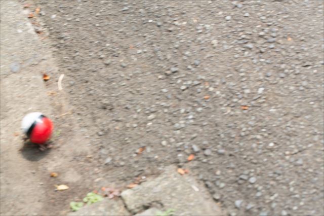 pokepoke20160714180013_TP_Vr