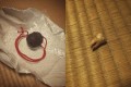 鈴の中から歯が出てきても使っちゃう!?羨ましくなるほどメンタルが強すぎる人々【10選】